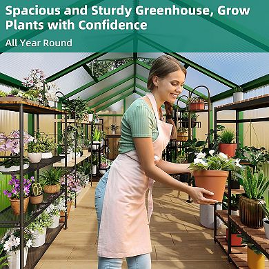 8x12 FT Heavy Duty Walk-in Greenhouse