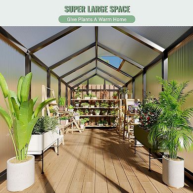6x10 FT All-Season Greenhouse