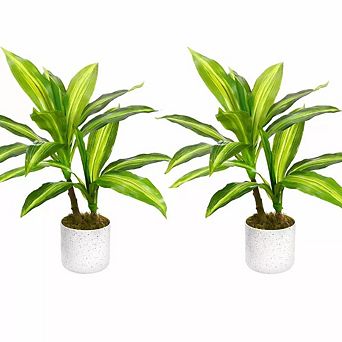Artificial Yellow Brazil Dracaena Set of 2 Pots, Lifelike Faux Tropical Plants for Indoor Decor