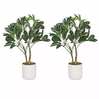 Artificial Schefflera Plant, 2 Faux Tropical Plants in 2 Pots for Indoor Home and Office Décor