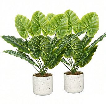 Artificial Mini Alocasia Plant in Pot, 1 Pot with 2 Lifelike Faux Plants