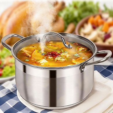 8-quart Stainless Steel Stockpot Induction Ready Visible Lid Thick Bottom
