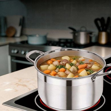 8-quart Stainless Steel Stockpot Induction Ready Visible Lid Thick Bottom