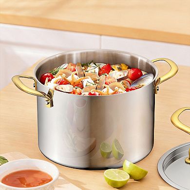 6-quart Induction Stainless Stockpot Triple-Layer Even Heat Dishwasher Safe