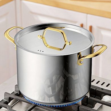 6-quart Induction Stainless Stockpot Triple-Layer Even Heat Dishwasher Safe