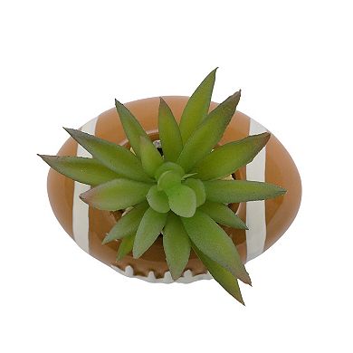 Celebrate Together™ Fall Mini Ceramic Football Artificial Succulent Table Decor