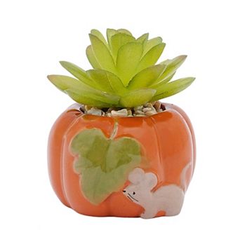 Celebrate Together™ Fall Mini Ceramic Pumpkin Artificial Succulent Decor