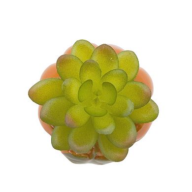 Celebrate Together™ Fall Mini Ceramic Pumpkin Artificial Succulent Decor