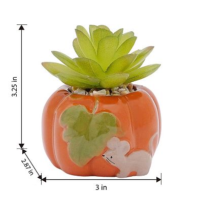 Celebrate Together™ Fall Mini Ceramic Pumpkin Artificial Succulent Decor