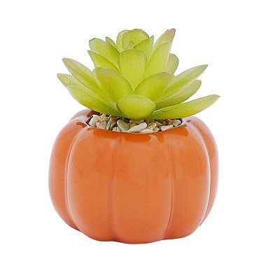 Celebrate Together™ Fall Mini Ceramic Pumpkin Artificial Succulent Decor
