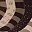 Beige Khaki Brown