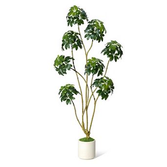 ANIXOL Artificial Schefflera Tree with Multiple Trunks