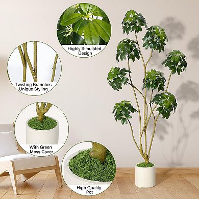ANIXOL Artificial Schefflera Tree with Multiple Trunks