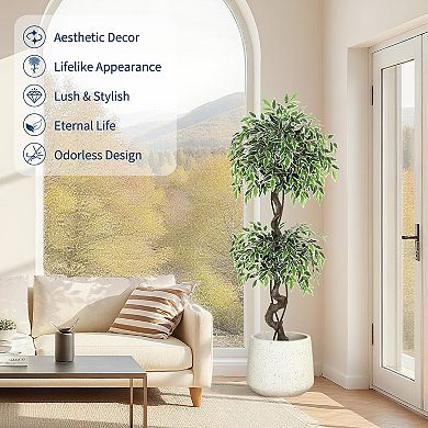 ANIXOL Artificial Ficus Tree with White-Edged Leaves