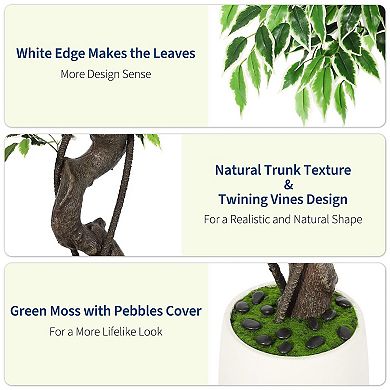 ANIXOL Artificial Ficus Tree with White-Edged Leaves