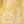 Yellow Leaf Floral