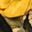 Goldenrod