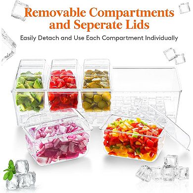 Great Ambitions Ice Chilled Condiment Caddy with 5x 20oz(2.5 cup) Containers,with Separate Lids 1pk