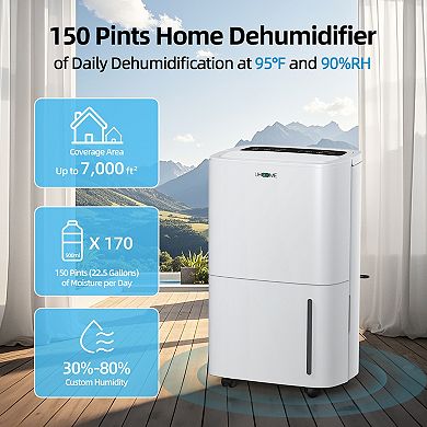 70 pt. 5,000 sq. ft. Dehumidifier in Whites with Pump, Quietly Remove Moisture, Auto Defrost