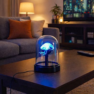 Desktop Custom 3D Holographic Display