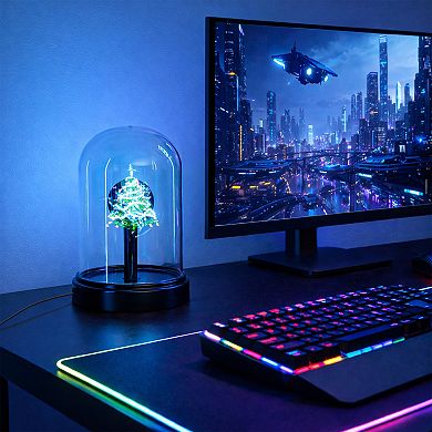 Desktop Custom 3D Holographic Display