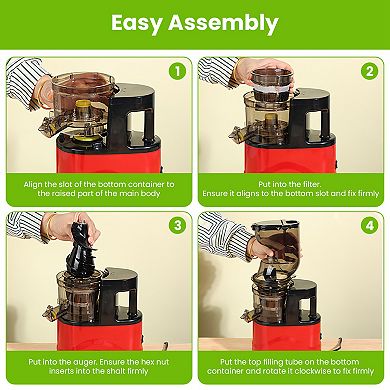 300W Cold Press Juicer Slow Masticating Juicer for Whole Fruits & Vegetables