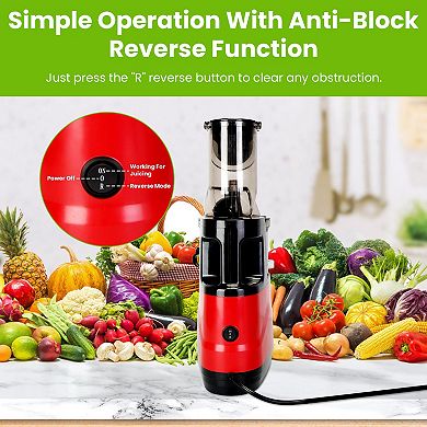300W Cold Press Juicer Slow Masticating Juicer for Whole Fruits & Vegetables