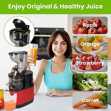 300W Cold Press Juicer Slow Masticating Juicer for Whole Fruits & Vegetables