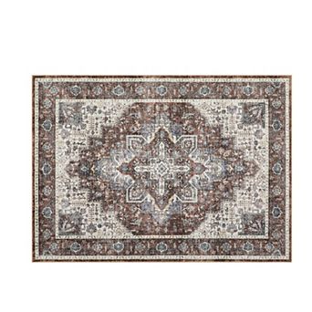 ANIXOL Washable Vintage Low-Pile Non-Slip Area Rug