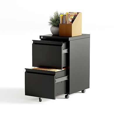 ANIXOL 2-Drawer Lockable Metal File Cabinet on Wheels