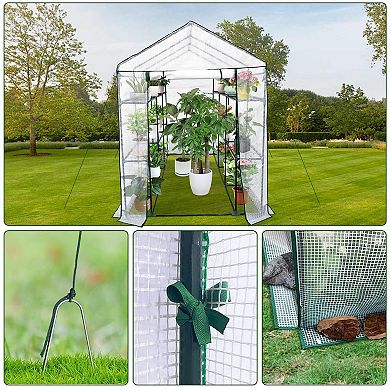ANIXOL 4-Tier Walk-In Greenhouse with Roll-Up Door