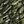 Green Camo