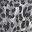 Denim Snow Cheetah