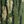 Green Tree Camo