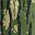 Green Tree Camo
