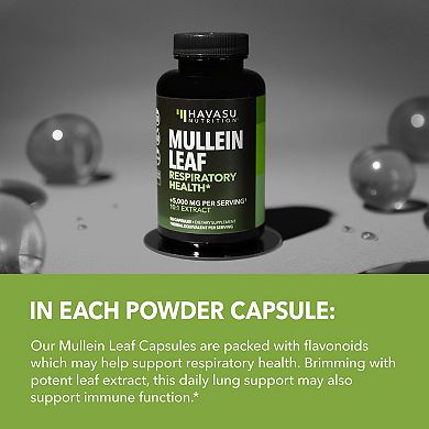 Havasu Nutrition Mullein Leaf Extract 5000mg (10:1) - Vegan Respiratory Support, 30 Capsules.