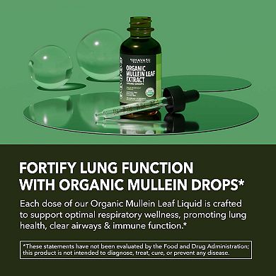 Havasu Nutrition Organic Mullein Leaf Liquid, 2 fl oz.