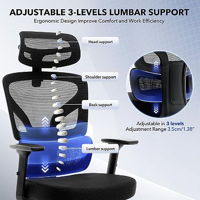 Ergonomic Mesh Office Chair, Adjustable Lumbar Support & High Back for Home Office Gaming