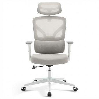 Ergonomic Mesh Office Chair, Adjustable Lumbar Support & High Back for Home Office Gaming