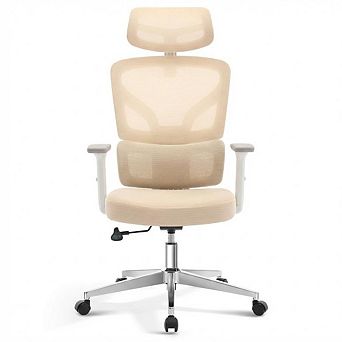 Ergonomic Mesh Office Chair, Adjustable Lumbar Support & High Back for Home Office Gaming
