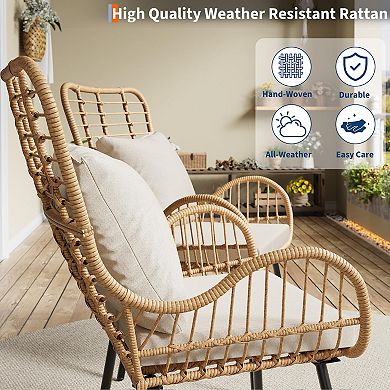 ANIXOL Wicker Patio Chairs Set of 2