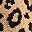 Brown Leopard