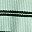 Green Stripe