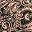 Brown Sugar Paisley