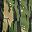Green Tree Camo