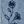 Navy Emb Floral