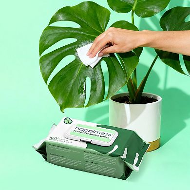 Essential Oil Plant Wipes, Remove Dust, Dirt, Water Spots and Restore Natural Leaf Shine