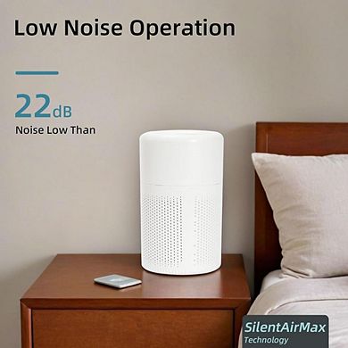 Mini Air Purifier with HEPA Filter