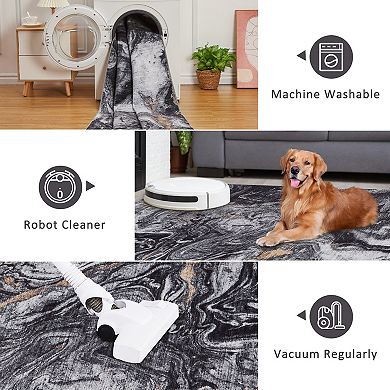 Area Rug Low Pile Machine Washable Non Slip Soft Carpet for Living Room Bedroom
