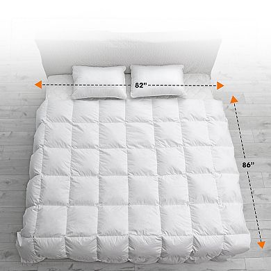 Cheer Collection Premium Kapok Fiber Comforter with Soft Microfiber Cover for All Season Sleep